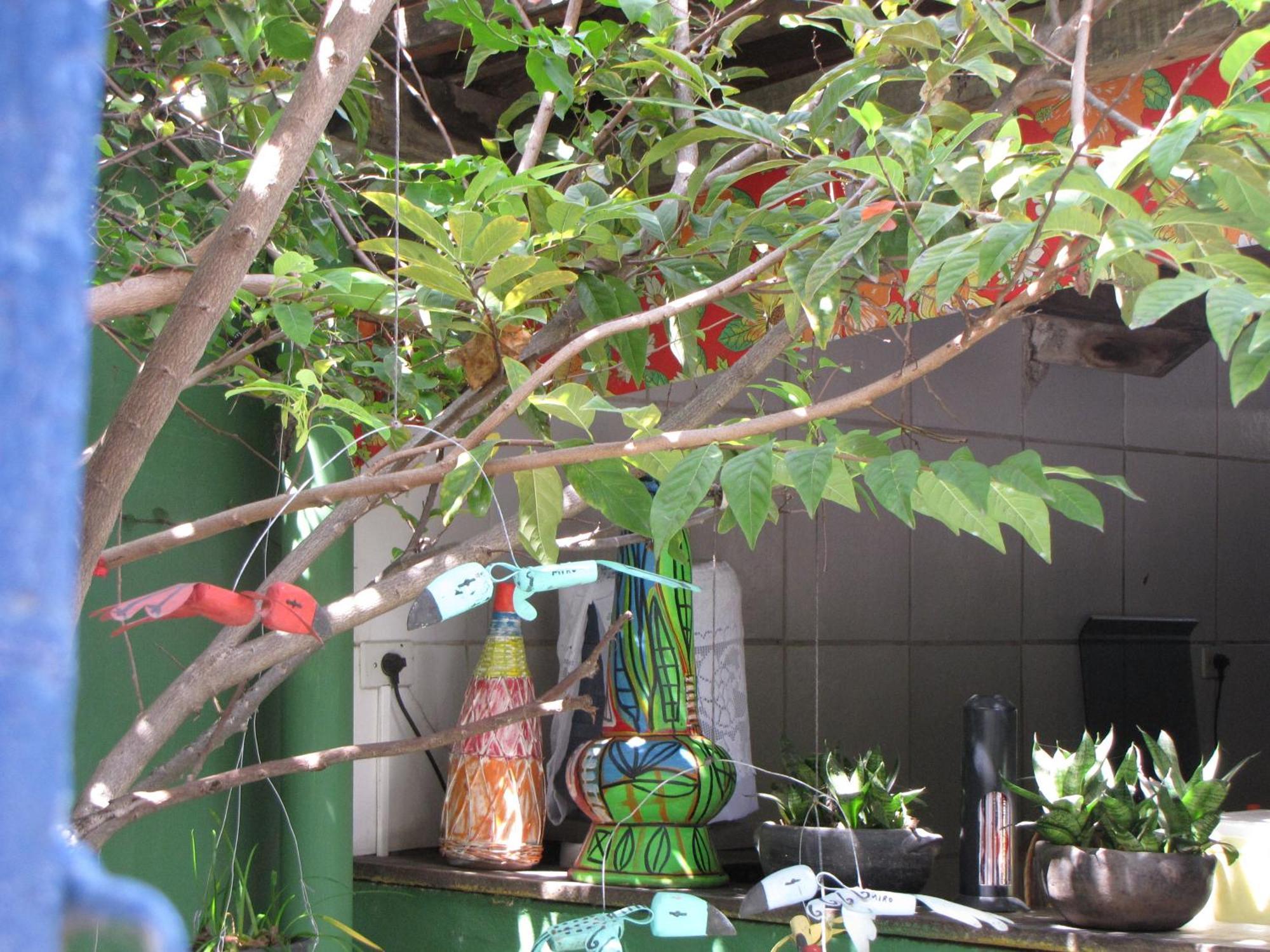 Pousada Joaozinho Caminhador Albergue Recife Exterior foto